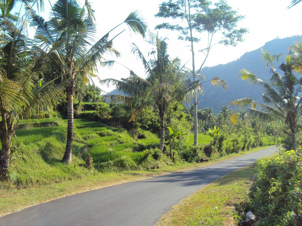 Villa Uma Ayu Sidemen ซิเดอมัน ภายนอก รูปภาพ