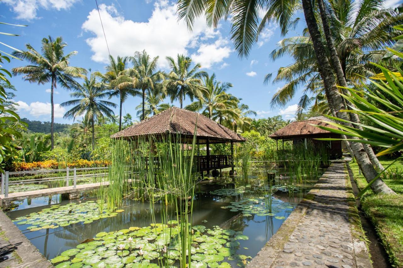 Villa Uma Ayu Sidemen ซิเดอมัน ภายนอก รูปภาพ